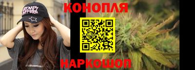 шишки Гусиноозёрск