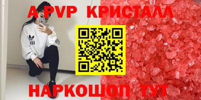 шишки Гусиноозёрск