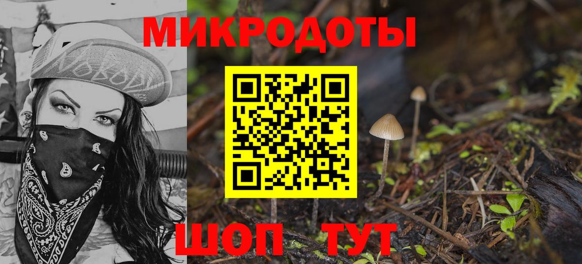 где купить наркоту  Галлюциногенные грибы Psilocybe  Вход с VPN  Ковров  Галлюциногенные грибы мухоморы 